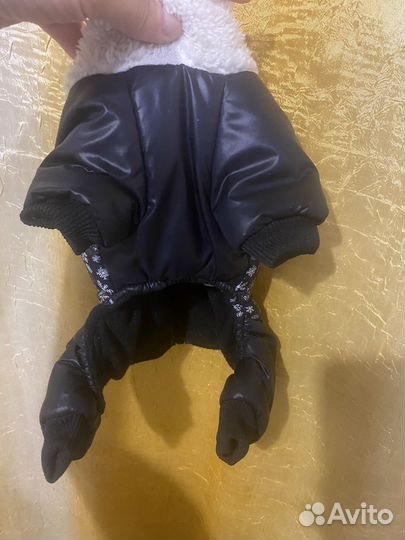 Одежда для собак мелких пород