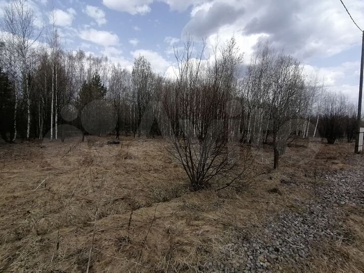 Участок 20 сот. (СНТ, ДНП)