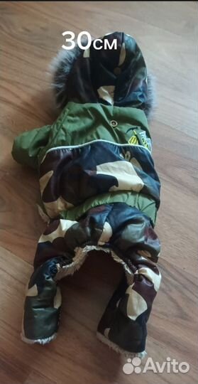 Костюмы для маленьких собак