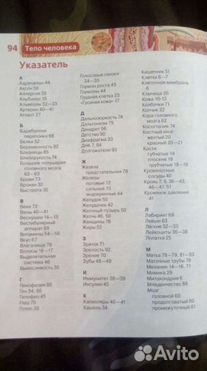 Книга Энциклопедия знаний Тело человека