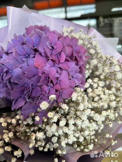 Цветы букеты доставка Гортензия