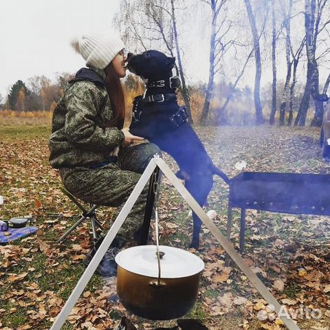Кинолог