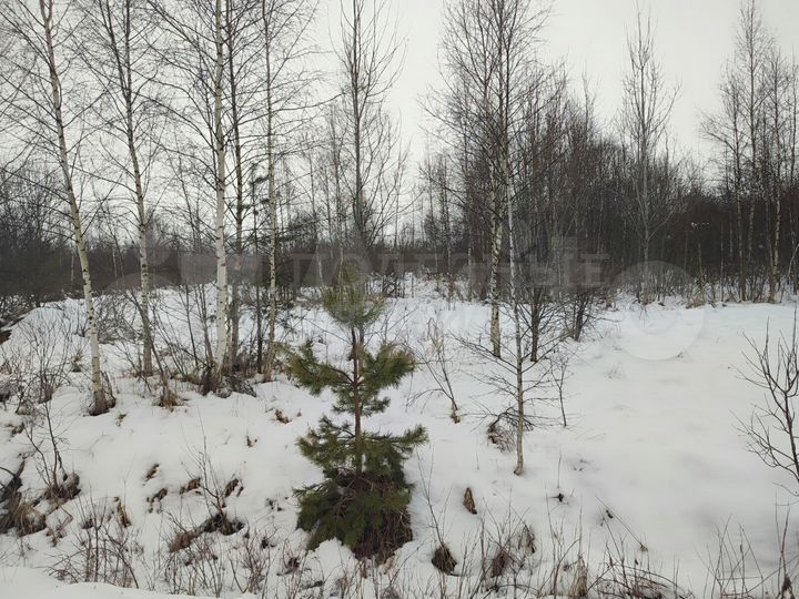 Участок 20 сот. (ИЖС)