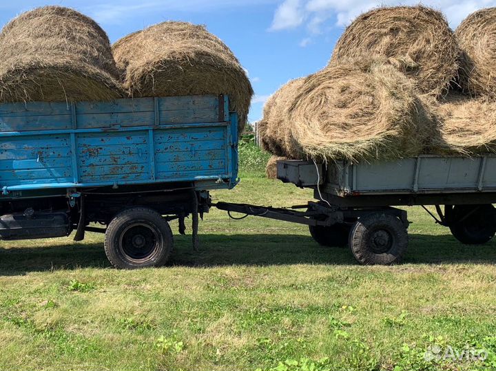 Продам сено в рулонах свежое