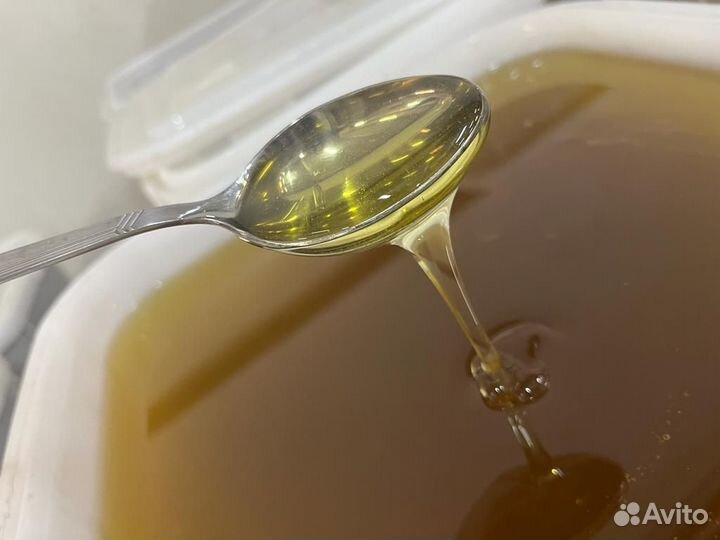 Мед майский оптом