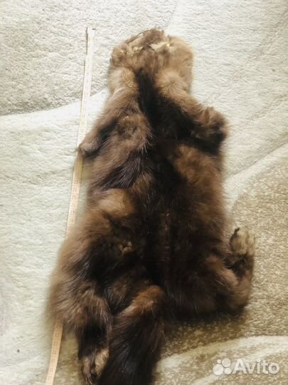 Продам шкурки соболя
