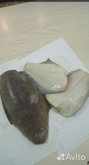 Палтус белокорый рыба свежемороженая