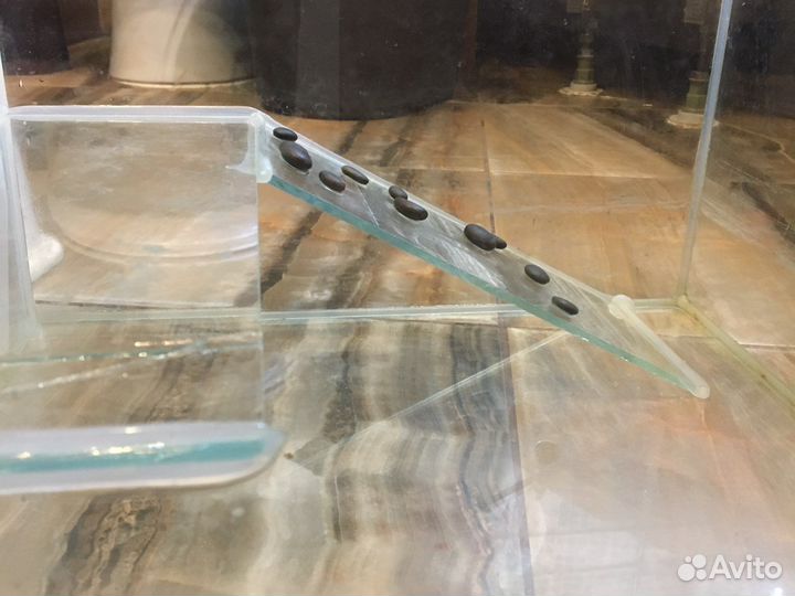 Аквариум для морской красноухой черепахи