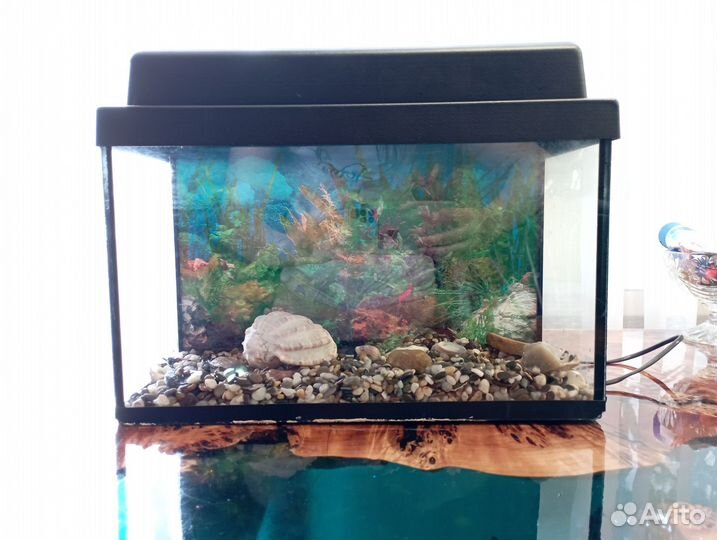 Аквариум 15 литров