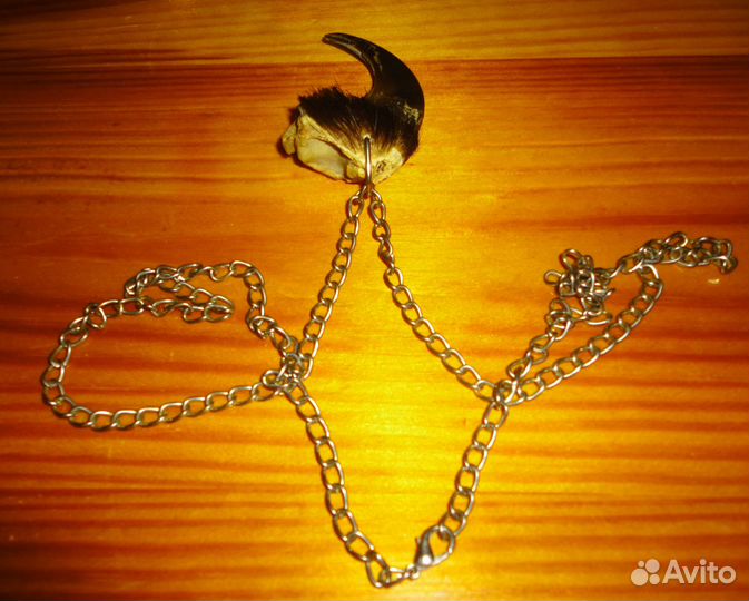 Большой Коготь Таёжного зверя