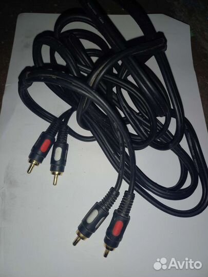 Тюльпаны провода