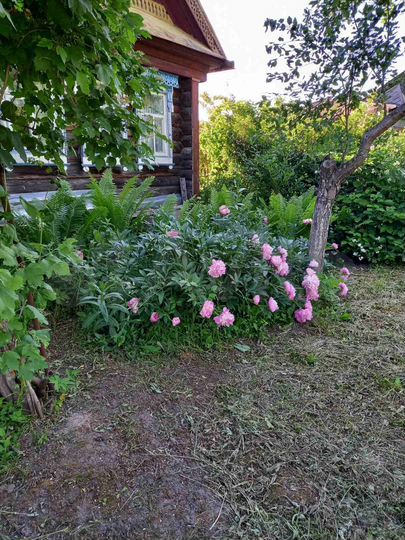 Дом 75 м² на участке 15 сот.