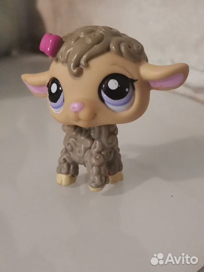 Лпс овечка
