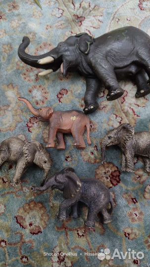 Животные игрушки, птицы,рыбы