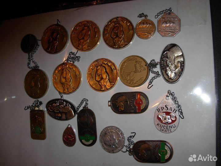 Собачьи медали для собак и не только