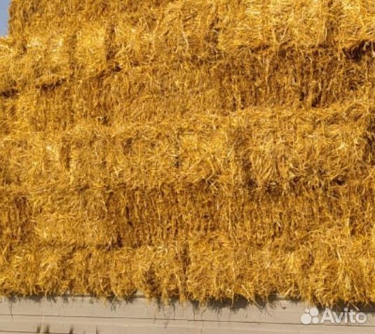 Сена разнотравье