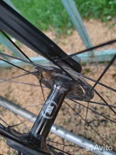 Фикс/синг Octopus Vulgaris, 58 ростовка