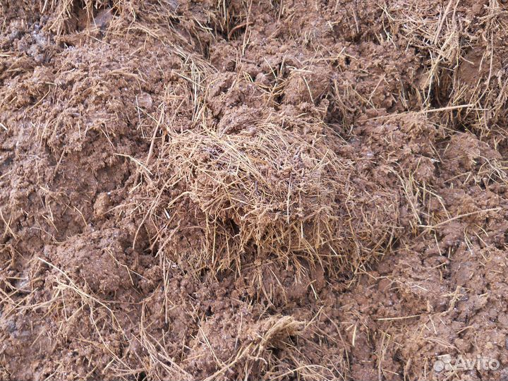 Доставка навоза куриного, коровьего, конского