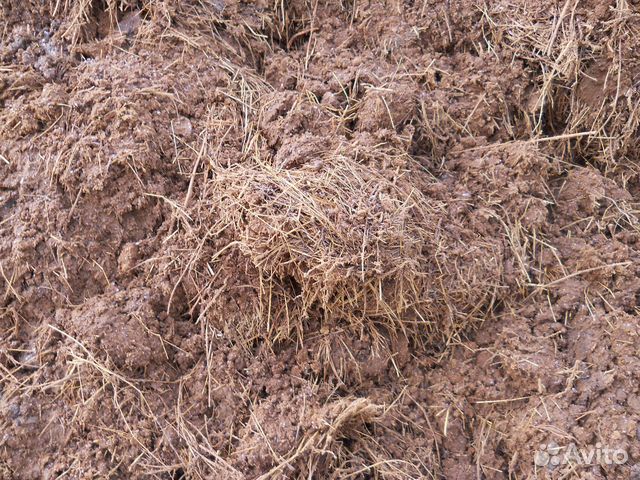 Доставка навоза куриного, коровьего, конского