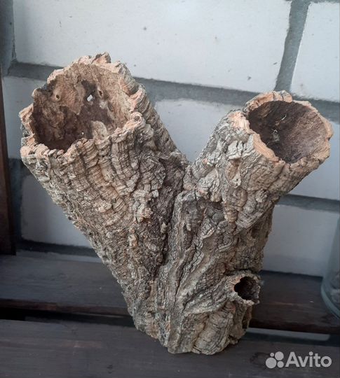 Кора пробкового дуба