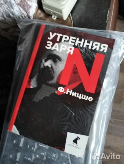 Книга Утренняя заря Ницше