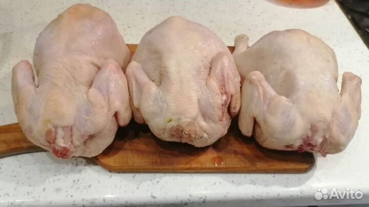 Фермерская, домашняя Птица утка, курица, индейка