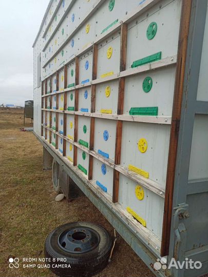 Пчелы, пчелопавильон, пасека