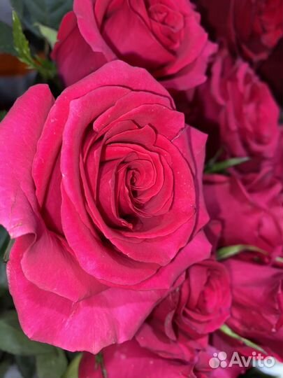 Доставка цветов букетов