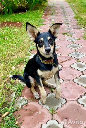 Девочка метис 5 месяцев