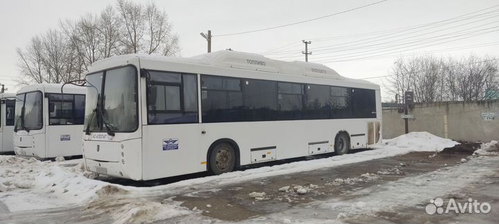 Междугородний / Пригородный автобус НефАз 5299, 2016