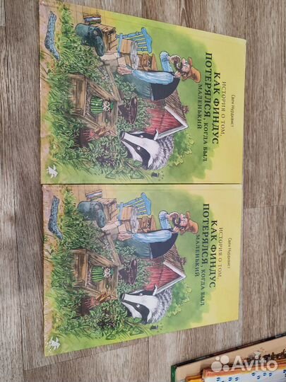 Книга История о том, как Финдус потерялся