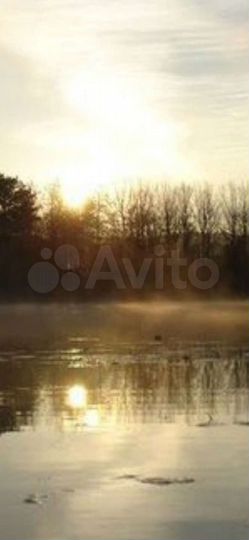 Участок 22 сот. (ИЖС)