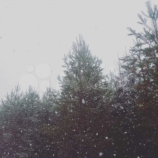 Участок 7 сот. (ИЖС)