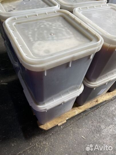 Майский мёд. Качка 2023 г. Оптом