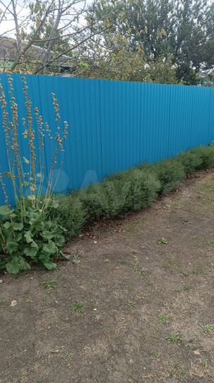 Дом 46,6 м² на участке 11 сот.