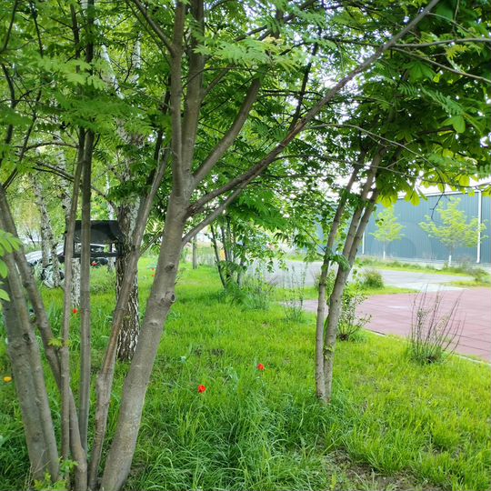 1-к. квартира, 37,8 м², 2/5 эт.