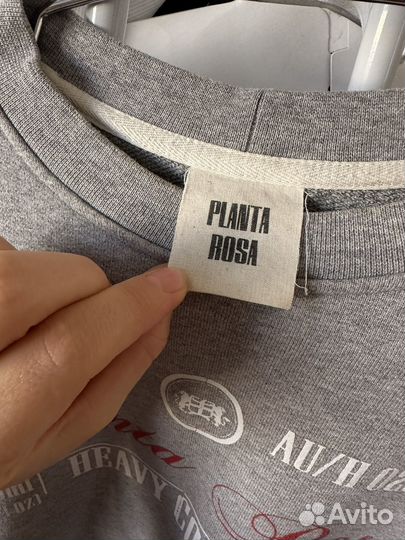 Свитшот planta rosa