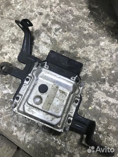 Эбу мозги Solaris Rio