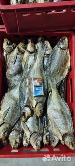 Лещ с икрой