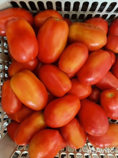 Помидоры, варенье