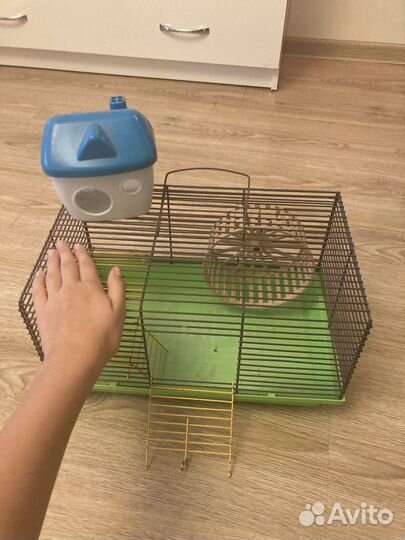 Клетка для джунгарского хомяка