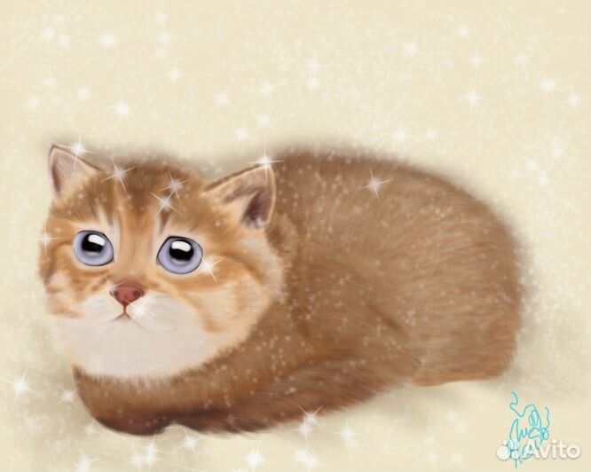 Портреты Животных на заказ