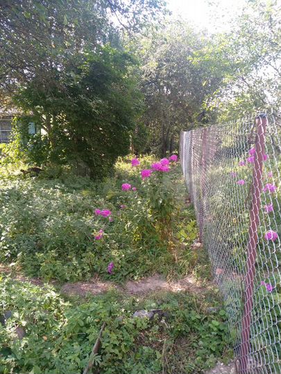 Участок 8 сот. (ИЖС)