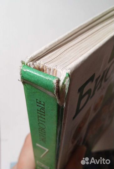 Учебник Биология 7 класс Латюшин В., Шапкин В