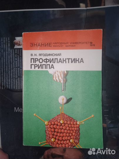 Ягодинский, Профилактика гриппа 1978 г