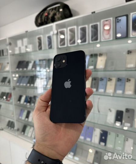 iPhone 12, 256 ГБ