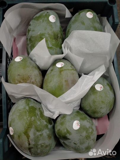 Продам манго из Египта