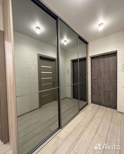 Шкаф купе с зеркалом встроенный