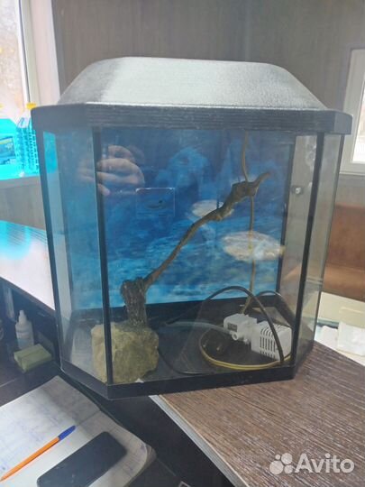 Аквариум