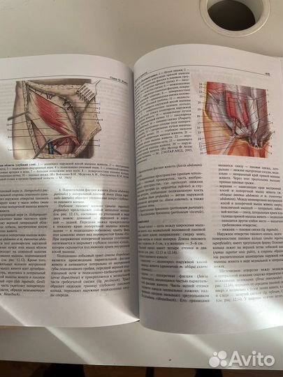 Учебник топографическая анатомия Сергиенко